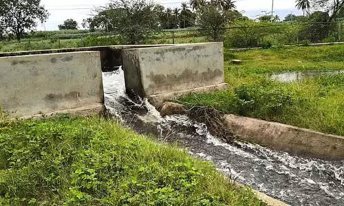 Karnataka: तुंगभद्रा अंकसमुद्र पक्षी अभयारण्य में उड़ गया है