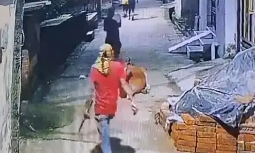 गमछा गिरोह ने चोरी की वारदात को दिया अंजाम, नगदी और जेवर उड़ाए गमछा गिरोह ने चोरी की वारदात को दिया अंजाम, नगदी और जेवर उड़ाए