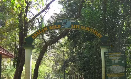 Kerala : अरलम फार्म पुनर्वास क्षेत्र में 5.36 करोड़ की लागत से सड़क नवीनीकरण