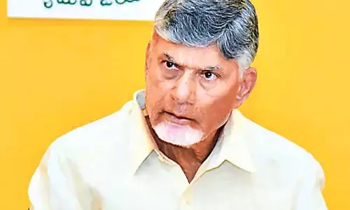 CM Chandrababu : कृष्णा नदी का पानी बर्बाद न करें