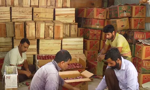 जम्मू-कश्मीर: इटालियन नाशपाती के बाग से जम्मू के भद्रवाह में आत्मनिर्भरता को बढ़ावा मिला जम्मू-कश्मीर: इटालियन नाशपाती के बाग से जम्मू के भद्रवाह में आत्मनिर्भरता को बढ़ावा मिला