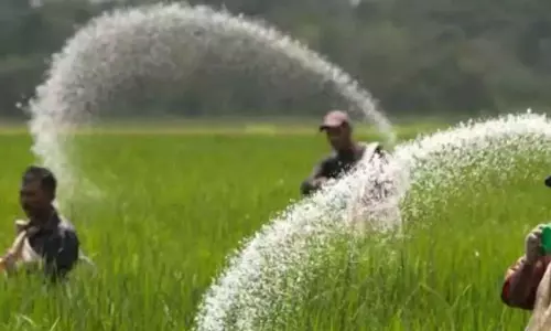 प्रदेश में रासायनिक खाद पर्याप्त मात्रा में उपलब्ध प्रदेश में रासायनिक खाद पर्याप्त मात्रा में उपलब्ध