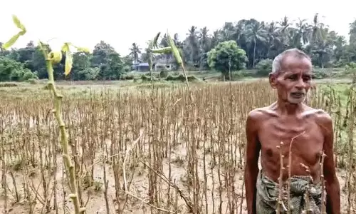 किसानों के लिए संकट गहराया, बाढ़ से बालासोर की कृषि भूमि नष्ट किसानों के लिए संकट गहराया, बाढ़ से बालासोर की कृषि भूमि नष्ट