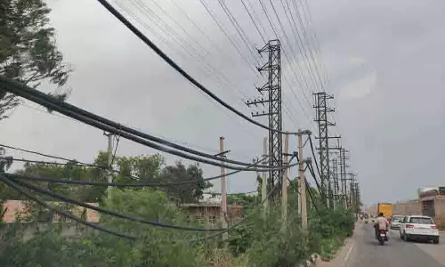PSPCL ने अपने प्रभारियों को निचले स्तर के तारों पर नजर रखने को कहा