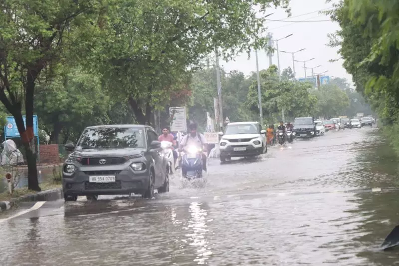 रोहतक में लगातार बारिश के बीच जलभराव, गड्ढों वाली सड़कों और बिखरे कचरे से लोग परेशान रोहतक में लगातार बारिश के बीच जलभराव, गड्ढों वाली सड़कों और बिखरे कचरे से लोग परेशान
