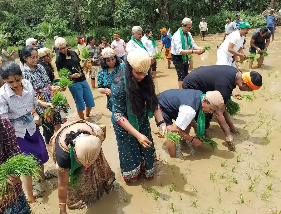 Sirsi : नाटी हब्बा कृषि में रुचि को बढ़ावा देता है Sirsi : नाटी हब्बा कृषि में रुचि को बढ़ावा देता है