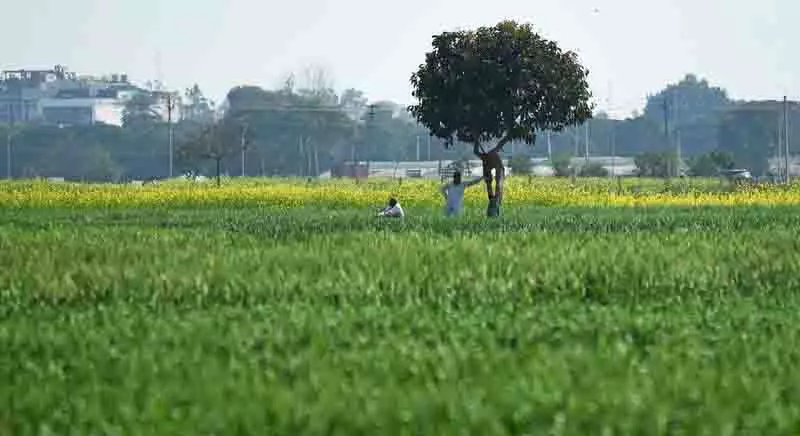 Punjab की आप सरकार फिलहाल भूमि अधिग्रहण प्रक्रिया को चरणबद्ध तरीके से करने की योजना बना रही Punjab की आप सरकार फिलहाल भूमि अधिग्रहण प्रक्रिया को चरणबद्ध तरीके से करने की योजना बना रही