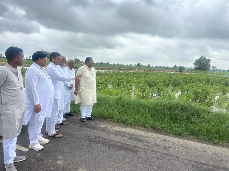 ऐलनाबाद विधायक ने बारिश से प्रभावित किसानों के लिए राहत की मांग की ऐलनाबाद विधायक ने बारिश से प्रभावित किसानों के लिए राहत की मांग की