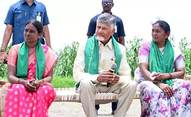 हम किसानों को तकनीक उपलब्ध कराएंगे: CM Chandrababu हम किसानों को तकनीक उपलब्ध कराएंगे: CM Chandrababu