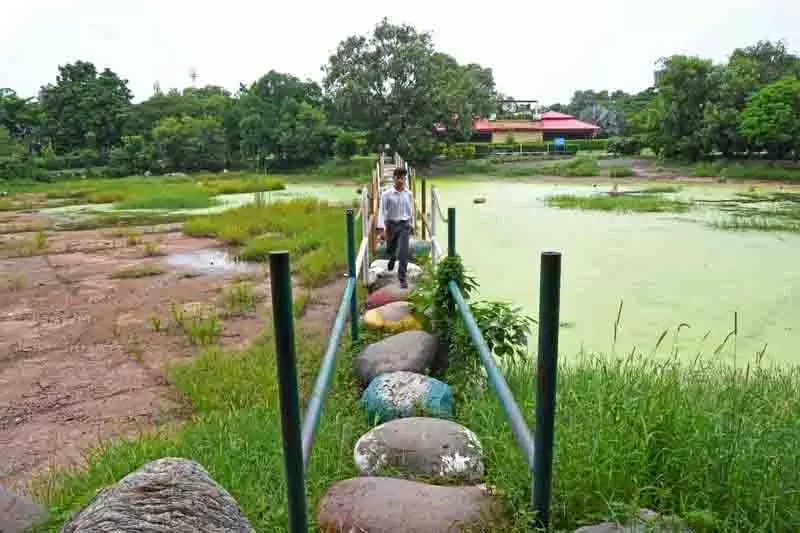 Panchkula में बारिश से व्यापक जलभराव Panchkula में बारिश से व्यापक जलभराव