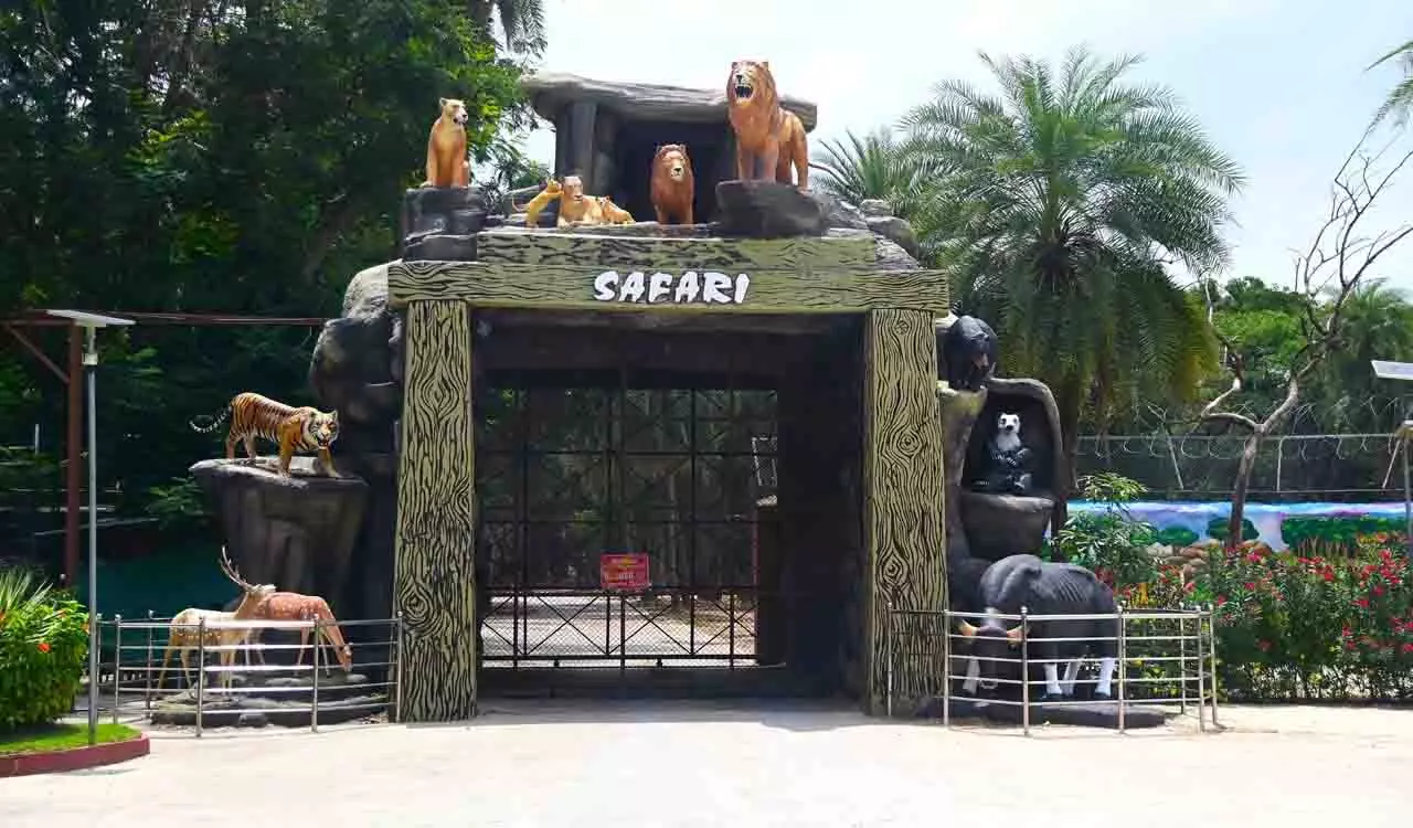 Hyderabad Zoo में रात्रि सफारी और चमकता हुआ बायोल्यूमिनसेंट पार्क शुरू होगा Hyderabad Zoo में रात्रि सफारी और चमकता हुआ बायोल्यूमिनसेंट पार्क शुरू होगा