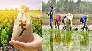 Hisar: 20वीं किस्त से लाखों किसानों को राहत Hisar: 20वीं किस्त से लाखों किसानों को राहत