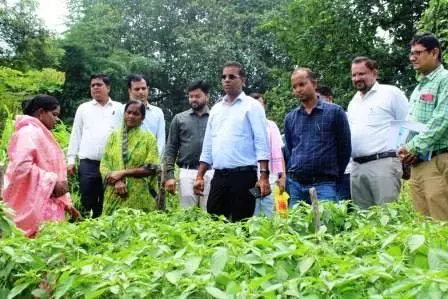 कलेक्टर कन्नौजे ने जैविक खेती करने वाली महिला किसान गोपिका प्रधान के कार्य को सराहा कलेक्टर कन्नौजे ने जैविक खेती करने वाली महिला किसान गोपिका प्रधान के कार्य को सराहा