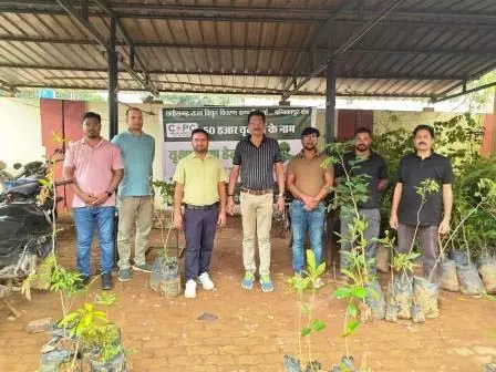 जशपुर विघुत विभाग ने अपने क्षेत्र के सभी विघुत वितरण केन्द्र में 350 पौधे लगाए जशपुर विघुत विभाग ने अपने क्षेत्र के सभी विघुत वितरण केन्द्र में 350 पौधे लगाए
