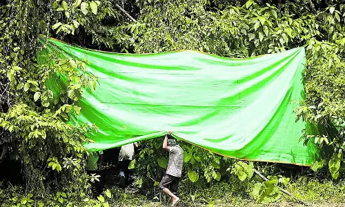 धर्मस्थल मामला तलाश जारी: चौथे दिन भी अवशेष नहीं मिले धर्मस्थल मामला तलाश जारी: चौथे दिन भी अवशेष नहीं मिले