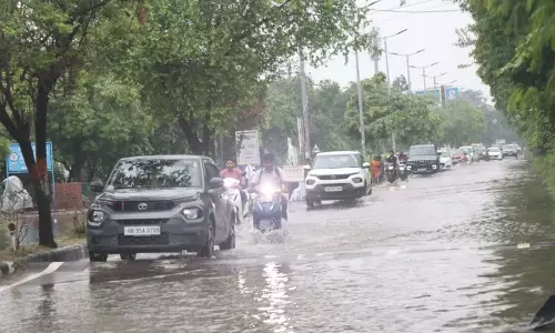 रोहतक में लगातार बारिश के बीच जलभराव, गड्ढों वाली सड़कों और बिखरे कचरे से लोग परेशान