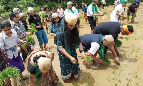 Sirsi : नाटी हब्बा कृषि में रुचि को बढ़ावा देता है Sirsi : नाटी हब्बा कृषि में रुचि को बढ़ावा देता है