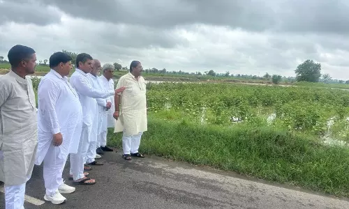 ऐलनाबाद विधायक ने बारिश से प्रभावित किसानों के लिए राहत की मांग की