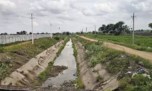Raichur : नहर में पानी नहीं आने से किसान परेशान