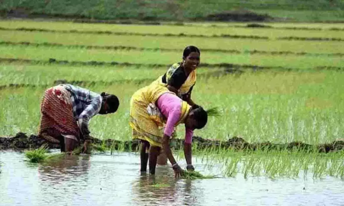 UBI राजधानी के किसानों के भूखंडों पर ऋण स्वीकृत करेगा UBI राजधानी के किसानों के भूखंडों पर ऋण स्वीकृत करेगा