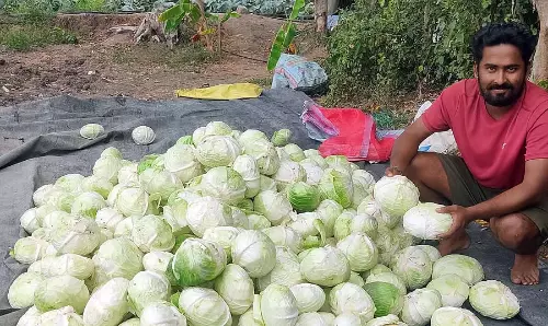 Karnataka : गरीबी में गोभी किसान