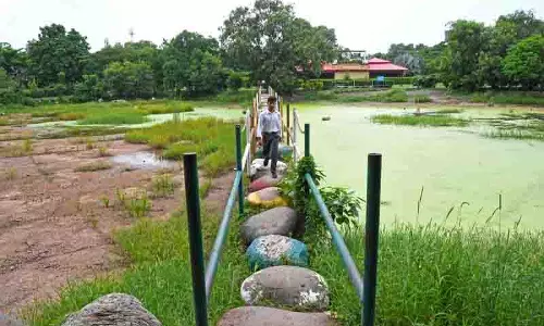 Panchkula में बारिश से व्यापक जलभराव