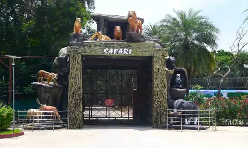 Hyderabad Zoo में रात्रि सफारी और चमकता हुआ बायोल्यूमिनसेंट पार्क शुरू होगा