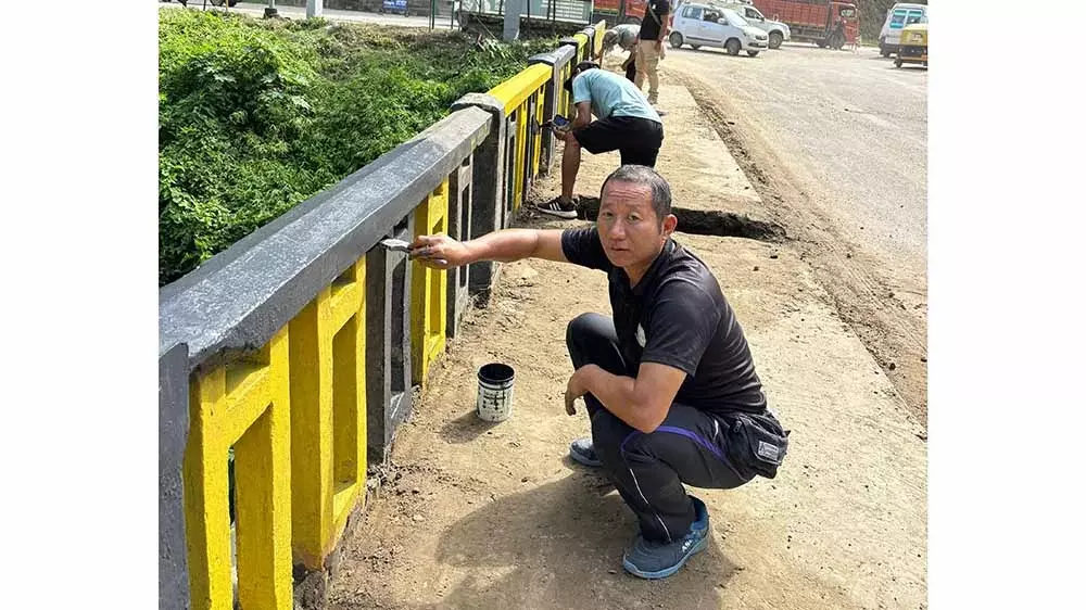 Nagaland :  त्सुंगरेमोंग के उपलक्ष्य में एएलटीसी सामाजिक कार्य