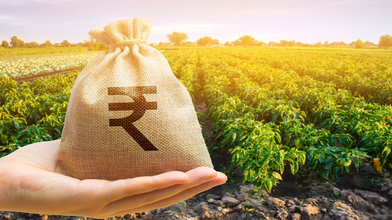 Rewari: किसान उत्सव दिवस पर रेवाड़ी के 61,892 किसानों को 20वीं किस्त मिली