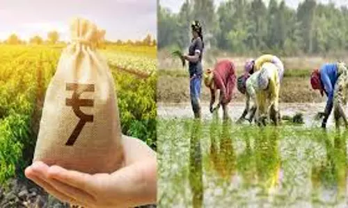 Hisar: 20वीं किस्त से लाखों किसानों को राहत Hisar: 20वीं किस्त से लाखों किसानों को राहत