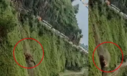 शिमला में सड़क से मलबा साफ करते समय 300 मीटर गहरी खाई में गिरा बुलडोजर