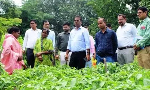 कलेक्टर कन्नौजे ने जैविक खेती करने वाली महिला किसान गोपिका प्रधान के कार्य को सराहा