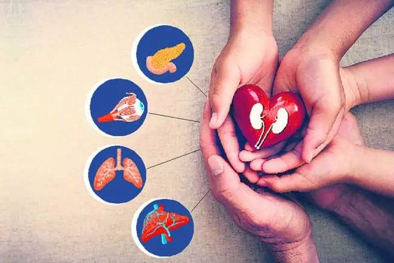 देश में मृतक अंगदान की दर चिंताजनक रूप से कम: NOTTO रिपोर्ट देश में मृतक अंगदान की दर चिंताजनक रूप से कम: NOTTO रिपोर्ट