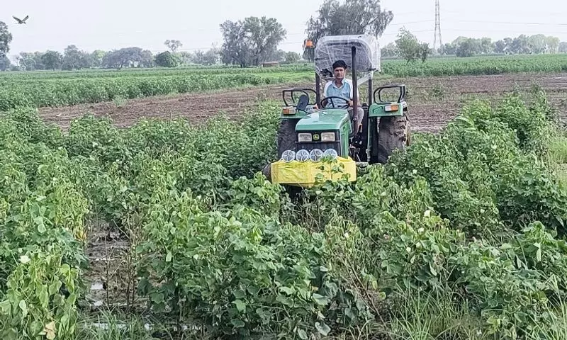 बारिश के बाद ऐलनाबाद में फसल नुकसान का आकलन करने के लिए सर्वेक्षण के आदेश बारिश के बाद ऐलनाबाद में फसल नुकसान का आकलन करने के लिए सर्वेक्षण के आदेश