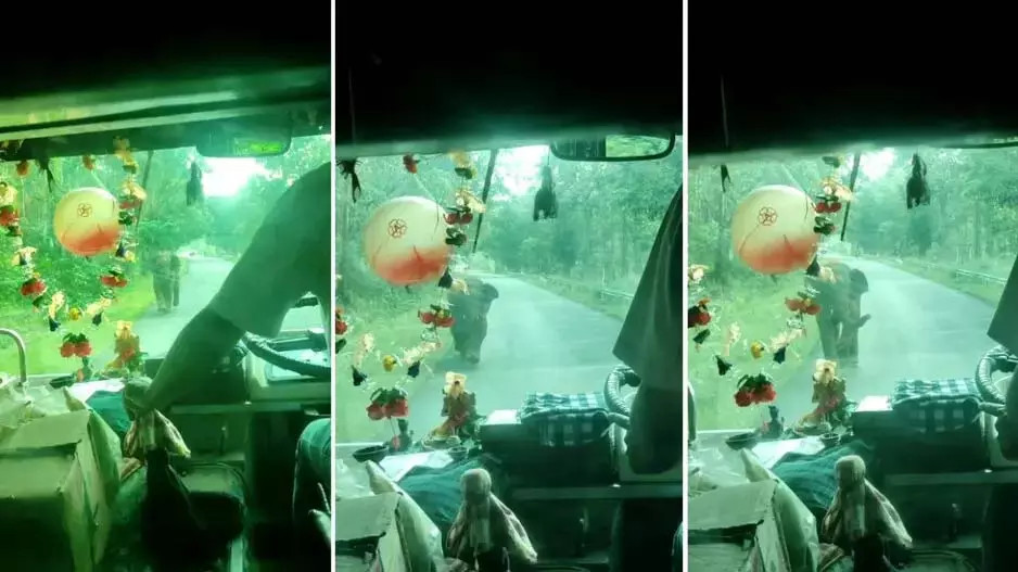 Odisha : हाथी बस की ओर बढ़ा, यात्रियों में दहशत फैल गई Odisha : हाथी बस की ओर बढ़ा, यात्रियों में दहशत फैल गई