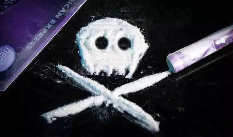 फार्महाउस पर छापेमारी में ड्रग्स के साथ छह तकनीशियन पकड़े गए, LSD और हशीश जब्त फार्महाउस पर छापेमारी में ड्रग्स के साथ छह तकनीशियन पकड़े गए, LSD और हशीश जब्त