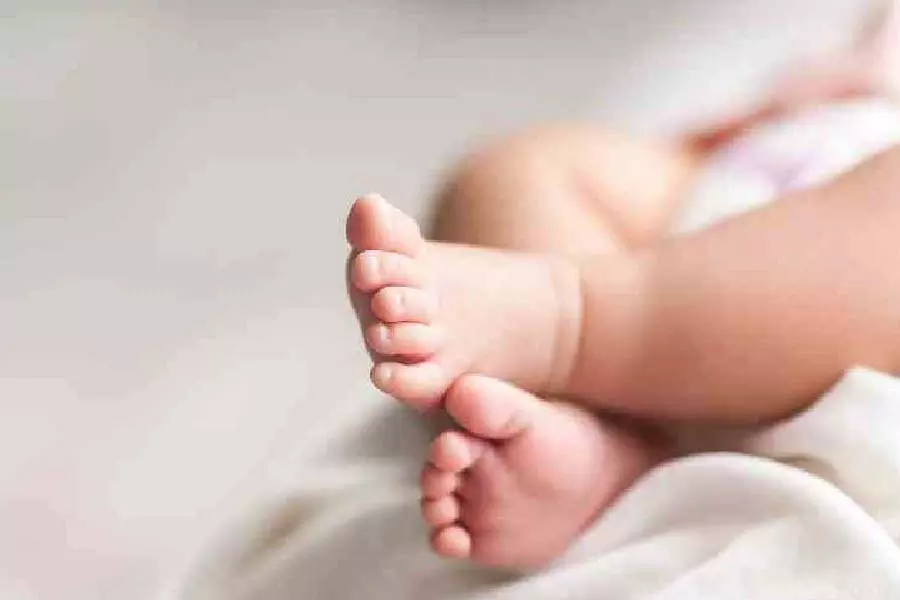 Bengal: बिराती में बाढ़ग्रस्त घर के फर्श पर बिस्तर से गिरने से छह महीने के बच्चे की मौत Bengal: बिराती में बाढ़ग्रस्त घर के फर्श पर बिस्तर से गिरने से छह महीने के बच्चे की मौत