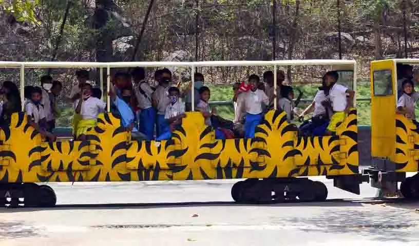 Hyderabad Zoo नई पर्यावरण-अनुकूल इलेक्ट्रिक टॉय ट्रेन के साथ पर्यावरण-अनुकूल हो गया Hyderabad Zoo नई पर्यावरण-अनुकूल इलेक्ट्रिक टॉय ट्रेन के साथ पर्यावरण-अनुकूल हो गया