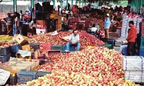 उत्तरी कश्मीर में एशिया की सबसे बड़ी फल मंडी बनी उत्तरी कश्मीर में एशिया की सबसे बड़ी फल मंडी बनी