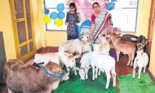 Andhra में नादिपति चिकित्सक द्वारा नई नैनो-गाय प्रजनन ने ध्यान आकर्षित किया