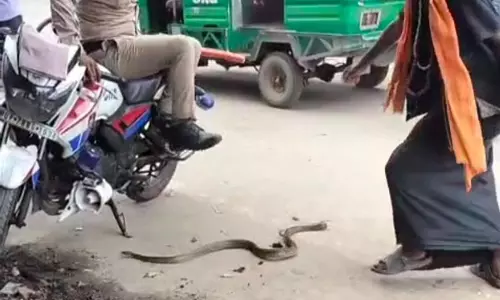 Kanpur: नशे में धुत सपेरे की हरकत से मचा हड़कंप