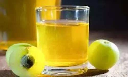Health:आंवला का पानी है सेहत के लिए वरदान, जानें सेवन का सही तरीका Health:आंवला का पानी है सेहत के लिए वरदान, जानें सेवन का सही तरीका