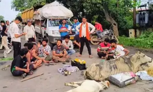 मवेशियों को अज्ञात वाहन ने कुचला, दो की मौत