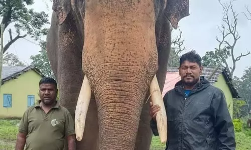 अर्जुन हाथी पुरस्कार: मट्टीगोडु हाथी शिविर में समारोह