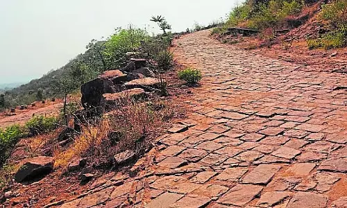 सड़क निर्माण में देरी: दो दशकों के संघर्ष के बावजूद मांग पूरी नहीं हुई सड़क निर्माण में देरी: दो दशकों के संघर्ष के बावजूद मांग पूरी नहीं हुई