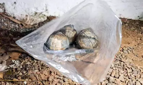 कालीकट परिसर में विस्फोटक बरामद; पुलिस ने हिरासत में लिया कालीकट परिसर में विस्फोटक बरामद; पुलिस ने हिरासत में लिया