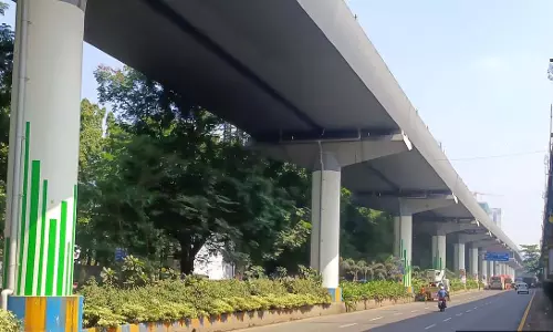 MMRDA ने सौंदर्यीकरण अभियान के तहत 2,537 मेट्रो स्तंभों की विषयगत पेंटिंग पूरी की