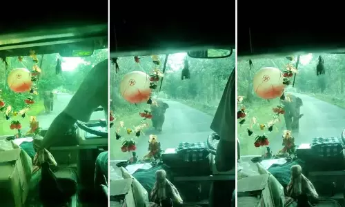 Odisha : हाथी बस की ओर बढ़ा, यात्रियों में दहशत फैल गई