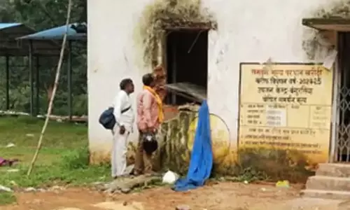 धान खरीदी केंद्र में हाथी का उत्पात, आसपास के रहवासी दहशत में
