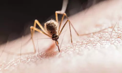 Mumbai : मानसून के दौरान डेंगू, मलेरिया और चिकनगुनिया के 4,500 से ज़्यादा मामले सामने आए Mumbai : मानसून के दौरान डेंगू, मलेरिया और चिकनगुनिया के 4,500 से ज़्यादा मामले सामने आए